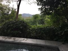 -天目湖涵田半山温泉