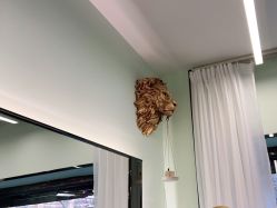 -BUTY HAIR 比帝专业烫染店