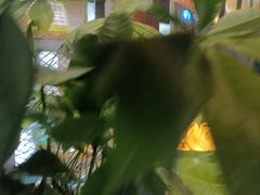 -湘当爱·鲜煮现炒(松岗立业路店)