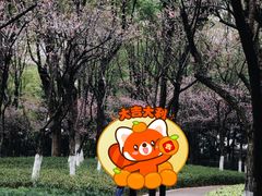 -重庆市江北嘴中央商务区中央公园