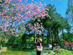 -铁山坪森林公园