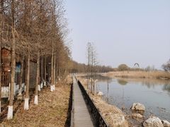 -苏州太湖湖滨国家湿地公园