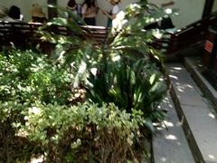 -乌镇东栅景区-茅盾故居