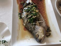 -锦江饭店锦北楼-锦江厅