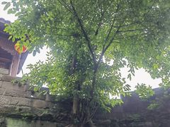 -涞滩古镇
