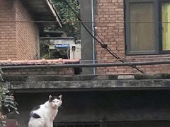 -赵美丽重庆火锅(西安直营总店)