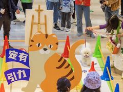 -金茂览秀城