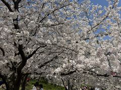 -苏州上方山国家森林公园