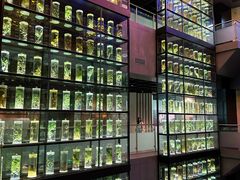 -广东中医药博物馆