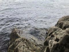 -大理洱海