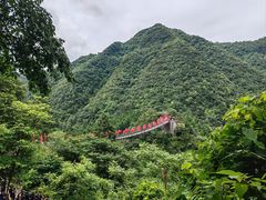 -娄山关景区