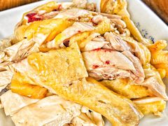 -大树下饭店(春晓镇慈岙社区卫生服务站南)