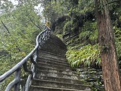-鹿院坪生态旅游景区