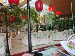 -大鹅岛绿色生态美食园
