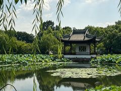 -无锡蠡湖国家湿地公园-蠡园