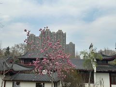 -堤角公园