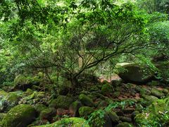 -赤水丹霞旅游区·佛光岩