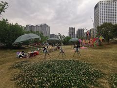 -龙潭水乡