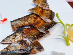 -黑松白鹿(金融街店)