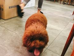 -陆记鹅庄·潮汕菜·狮头鹅(大仟里店)