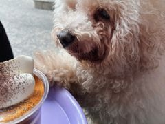 -HANA COFFEE(长寿路店)