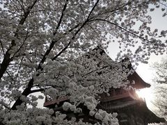-西安青龙寺遗址景区