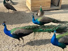 -水上乐园·欢乐世界