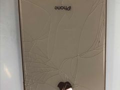 -Apple Store苹果手机电脑售后维修中心(浦东店)