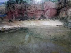 -福州罗源湾海洋世界旅游区