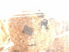 -泸溪河桃酥(秦淮夫子庙一店)
