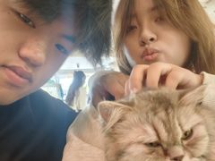 -平行世界·猫咖(首经贸店)