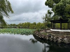 -无锡蠡湖国家湿地公园-蠡园