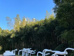 -苏州河梦清园环保主题公园