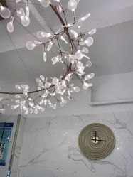 -潘多拉Hairsalon