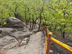 -吉林市朱雀山国家森林公园