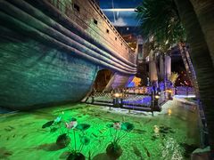 -华夏文旅海洋公园