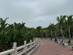 -野狸岛