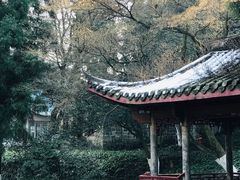 -莫干山风景区