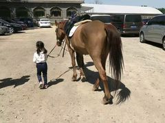 -月河湾马术俱乐部(朝阳店)