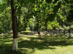 -长白岛森林公园