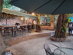 -柴犬高等学院·狗咖·柴犬售卖·宠物训练