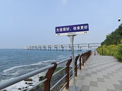-星海湾跨海大桥