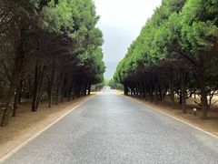 -秦始皇帝陵博物院-丽山园