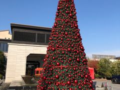 -上海崇明金茂凯悦酒店