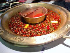 -新哥老官·畅吃123·美蛙世界(苏宁广场店)