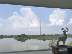 -东湖落雁景区