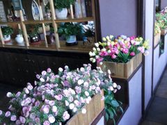 -巴渝菜馆(涿州店)