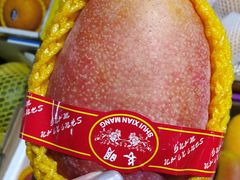 -上海龙吴水胜海发市场