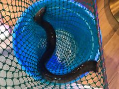 -东味北道熟成·炭火烤肉(九龙店)