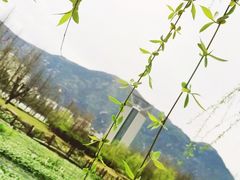 -汪保来(杭州解放路店)